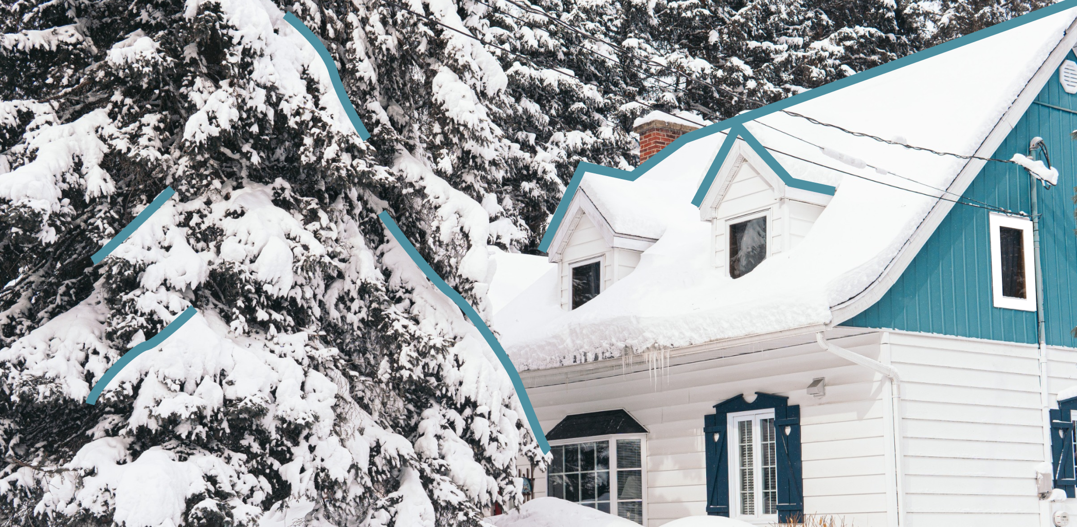 Успеть до зимы: что нужно сделать на участке